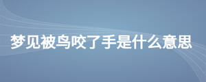 夢見被鳥咬了手是什么意思