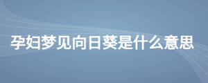孕婦夢見向日葵是什么意思