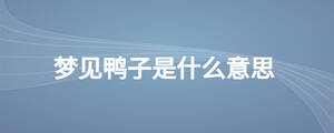 夢見鴨子是什么意思