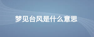 夢見臺風是什么意思