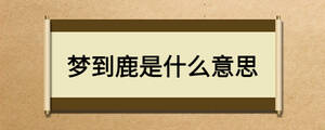 夢到鹿是什么意思