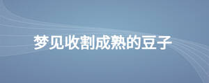 夢(mèng)見(jiàn)收割成熟的豆子