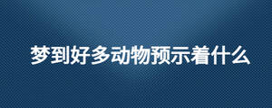 夢到好多動(dòng)物預(yù)示著什么