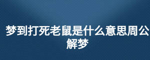 夢到打死老鼠是什么意思周公解夢