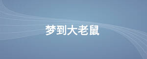 夢到大老鼠