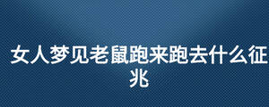 女人夢(mèng)見老鼠跑來(lái)跑去什么征兆