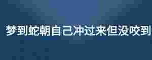夢到蛇朝自己沖過來但沒咬到