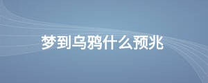 夢到烏鴉什么預兆