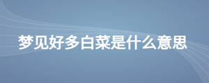 夢見好多白菜是什么意思