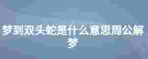 夢到雙頭蛇是什么意思周公解夢