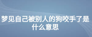 夢見自己被別人的狗咬手了是什么意思