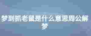 夢到抓老鼠是什么意思周公解夢