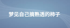 夢見自己摘熟透的柿子