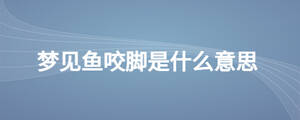 夢見魚咬腳是什么意思