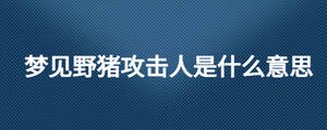 夢見野豬攻擊人是什么意思