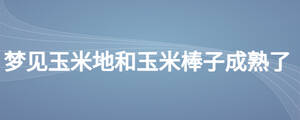 夢見玉米地和玉米棒子成熟了