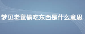 夢見老鼠偷吃東西是什么意思