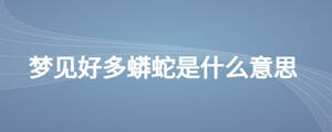 夢(mèng)見好多蟒蛇是什么意思