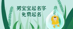 男寶寶起名免費(fèi).jpg