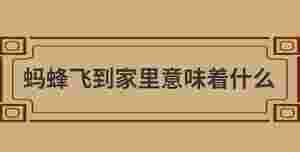 自創(chuàng) (14).jpg