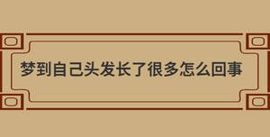 自創(chuàng) (50).jpg