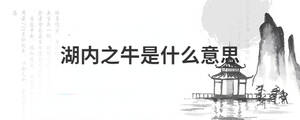 背景圖 (33).jpg
