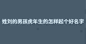 深色背景 (13).jpg