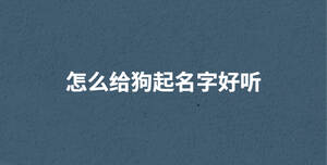 深色背景 (75).jpg