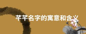 起名 - 2022-08-05T114223.027.jpg