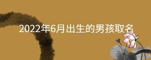 起名 - 2022-08-08T171002.759.jpg