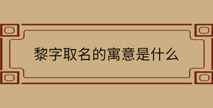 自創(chuàng) - 2022-08-12T144453.972.jpg