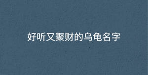 深色背景 - 2022-08-16T110250.955.jpg