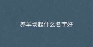 深色背景 - 2022-09-20T092950.759.jpg