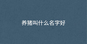 深色背景 - 2022-09-21T111334.072.jpg