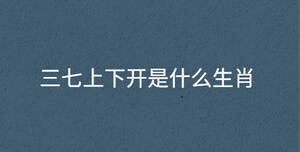 深色背景 - 2022-09-29T100119.745.jpg