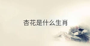 傳統(tǒng) - 2022-10-08T104517.791.jpg