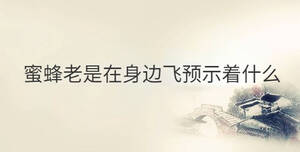 傳統(tǒng) - 2022-10-09T172828.673.jpg