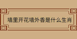 自創 - 2022-10-11T103914.186.jpg