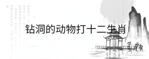 背景圖 - 2022-11-02T113326.921.jpg