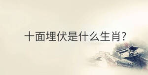 傳統 - 2022-11-03T114640.673.jpg