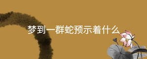 起名 - 2022-11-10T113901.451.jpg