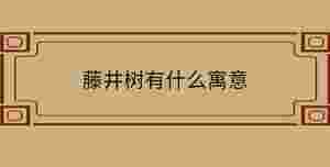 自創 - 2022-11-16T143540.309.jpg