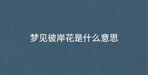 深色背景 - 2022-11-22T114733.218.jpg