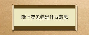 問(wèn)答 - 2022-11-23T161601.612.jpg