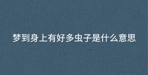 深色背景 - 2022-11-24T110407.491.jpg