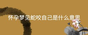 起名 - 2022-11-30T154740.573.jpg