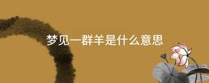 起名 - 2022-12-07T143747.620.jpg
