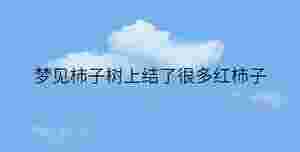 簡約藍色背景 - 2022-12-08T145136.870.jpg