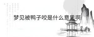 背景圖 - 2022-12-09T110801.698.jpg