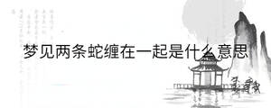 背景圖 - 2022-12-10T140226.936.jpg